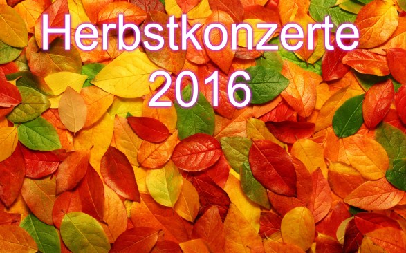 pizap-com14767903046601